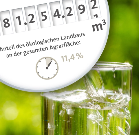 Die BIO-WASSERUHR Bio Wasseruhr