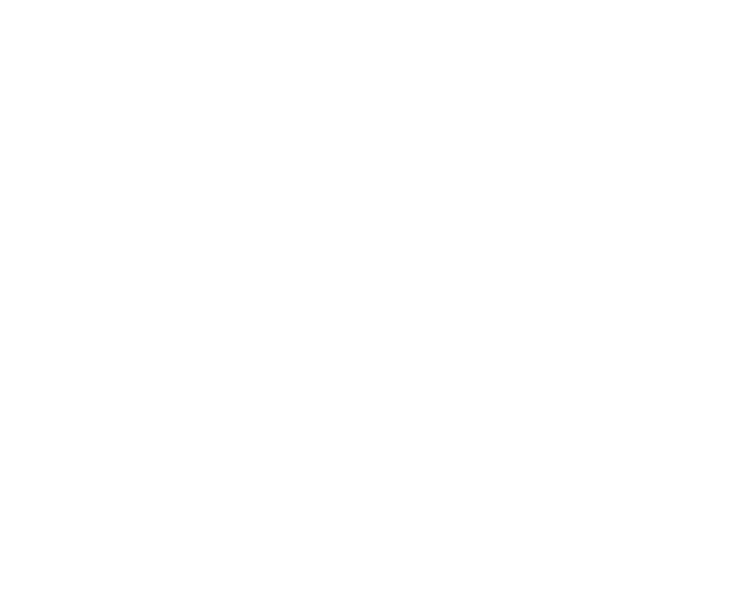 rieser urwasser bio mineralwasser flasche Logo 2020